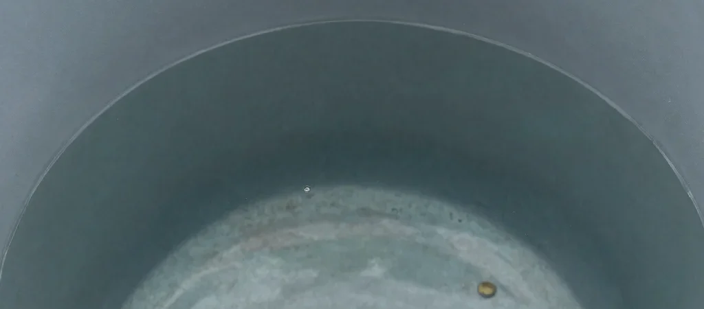 Algae and Sediment: What to Watch For